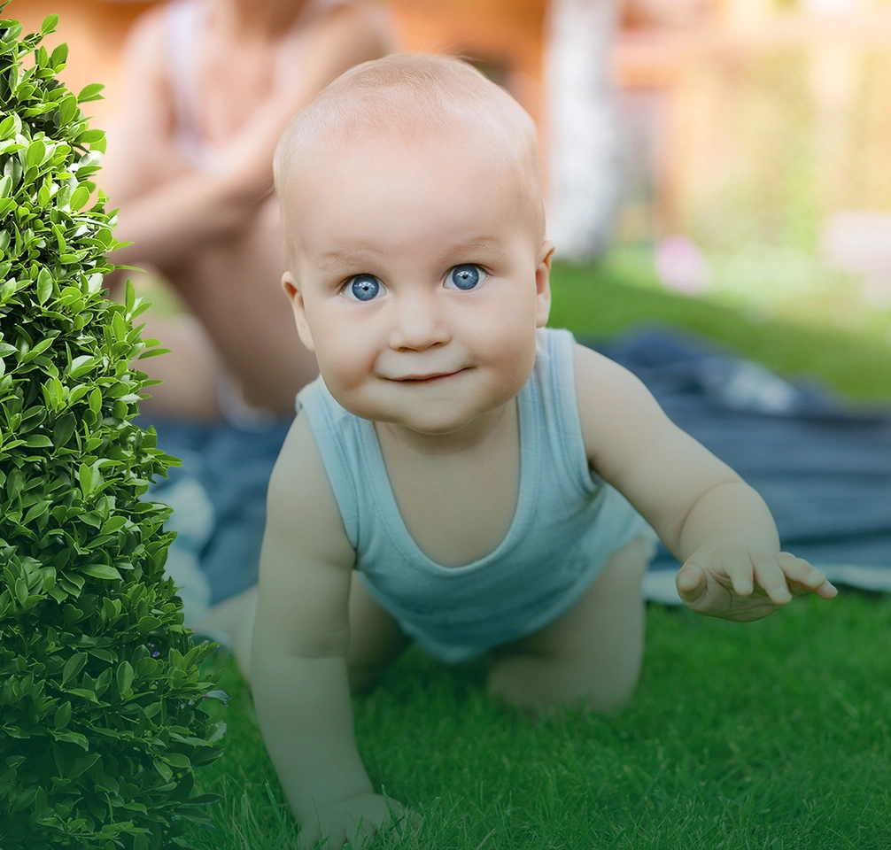 Cartersville Georgia Lawn Care