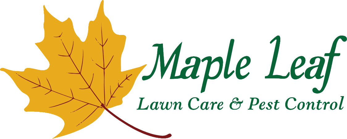 Maple Leaf Lawn Care & Pest Control