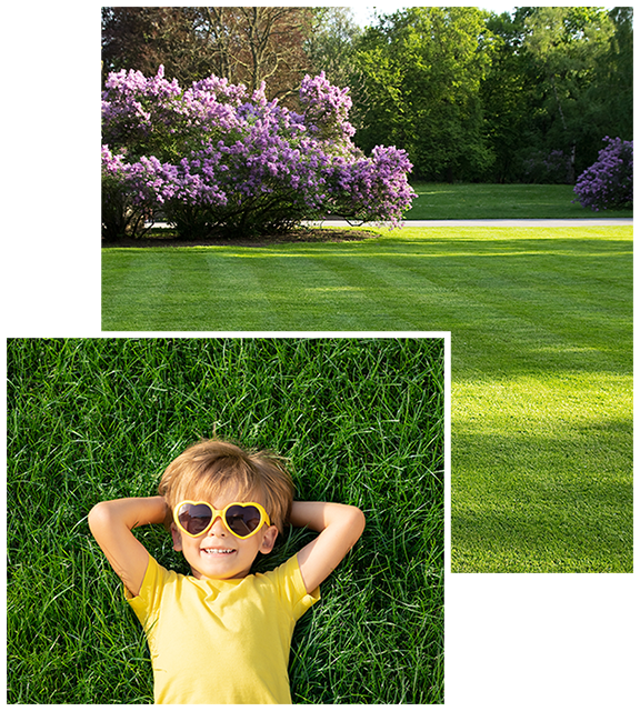 turf management program kid grass